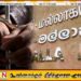 யாழில் வெளிநாடு அனுப்புவதாக கூறி ஒரு கோடியே அறுபது இலட்சம் ரூபாய் மோசடி