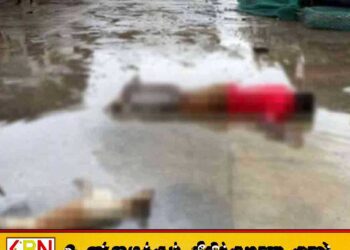 மலேசியாவில் இலங்கையை சேர்ந்த இளைஞன் மின்சாரம் தாக்கி உயிரிழப்பு