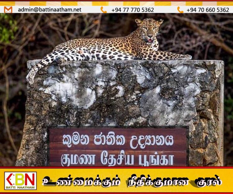 உலகில் அதிக சிறுத்தைகளை கொண்ட இடங்களில் இலங்கை குமன தேசிய பூங்காவிற்கு இரண்டாமிடம்