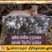 உலகில் அதிக சிறுத்தைகளை கொண்ட இடங்களில் இலங்கை குமன தேசிய பூங்காவிற்கு இரண்டாமிடம்