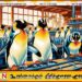 பென்குயின்கள் மட்டும் உள்ள தீவுக்கும் வரி விதித்துள்ள டிரம்ப்