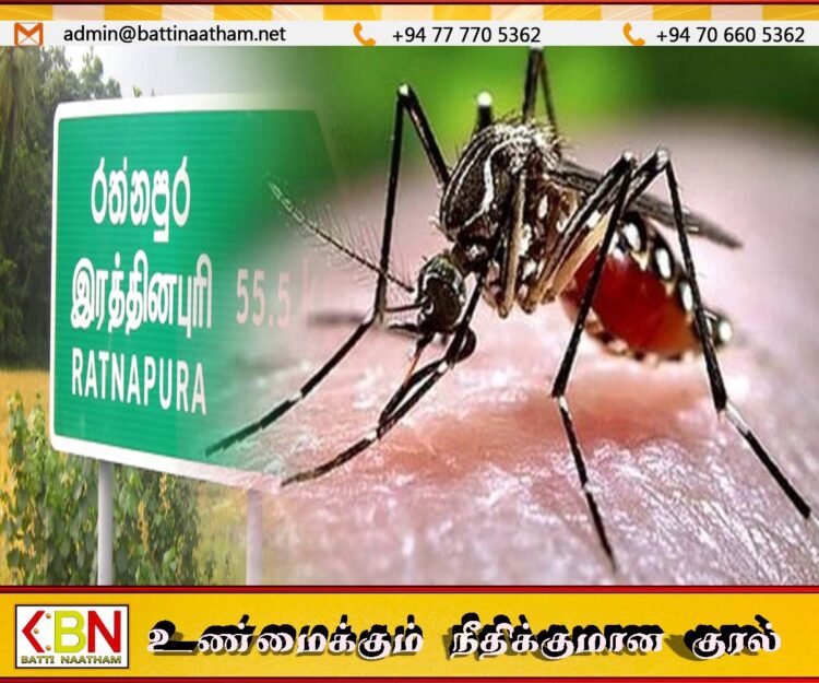 இரத்தினபுரி மாவட்டத்தில் தீவிரமடையும் டெங்கு தொற்று