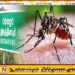 இரத்தினபுரி மாவட்டத்தில் தீவிரமடையும் டெங்கு தொற்று