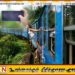 ரயிலில் செல்ஃபி எடுக்க முயன்ற ஆஸ்திரேலிய பெண் கம்பத்தில் மோதி படுகாயம்