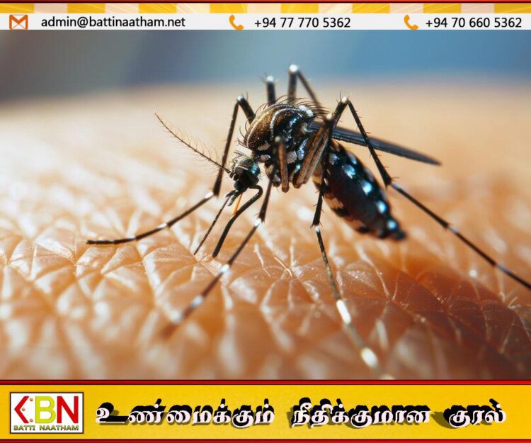 இரத்தினபுரியில் டெங்கு நோயாளர்களின் எண்ணிக்கை அதிகரிப்பு