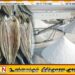 இந்தியாவில் இருந்து இலங்கைக்கு இறக்குமதியான உப்பு மனித நுகர்வுக்கு தகுதியற்றது