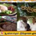 200 ரூபாவிற்கும் குறைந்த விலையில் சத்தான உணவு வழங்கும் அரசின் திட்டம் இன்று ஆரம்பமானது