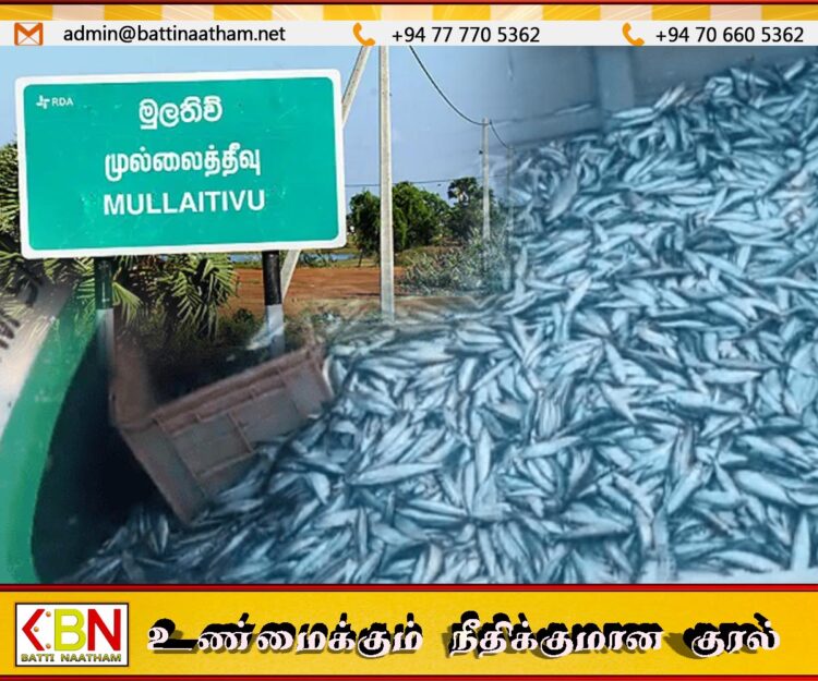 முல்லைத்தீவு கடலில் சட்டவிரோத தொழிலில் ஈடுபட்ட எட்டு பேர் கைது