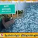 முல்லைத்தீவு கடலில் சட்டவிரோத தொழிலில் ஈடுபட்ட எட்டு பேர் கைது