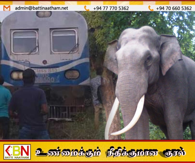 காட்டு யானை மீது ரயில் மோதியதில் தடம் புரள்வு