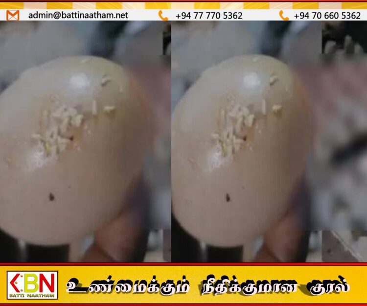 உணவகம் ஒன்றில் மேற்கொள்ளப்பட்ட சோதனையில் கைப்பற்றப்பட்ட புழு முட்டைகள்