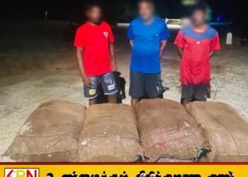 இந்தியாவில் பெருமளவான கஞ்சா கடத்தி வந்த மூவர் கைது
