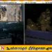 இந்தியா-பாகிஸ்தான் எல்லைப் பகுதிகளில் விடிய விடிய தாக்குதல்; எல்லையில் அடங்காத சத்தம்