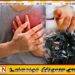 பலாலி இராணுவ முகாமில் பணிபுரிந்த இராணுவ வீரர் உயிரிழப்பு!