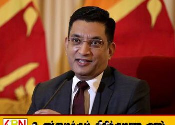 இலங்கை இனப்படுகொலையில் ஈடுபடவில்லை; நினைவுச்சின்னம் திறப்புக்கு அலி சப்ரி எதிர்ப்பு