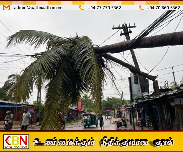 வவுனியாவில் மின்வயரின் மீது முறிந்து வீழ்ந்த மரம்!