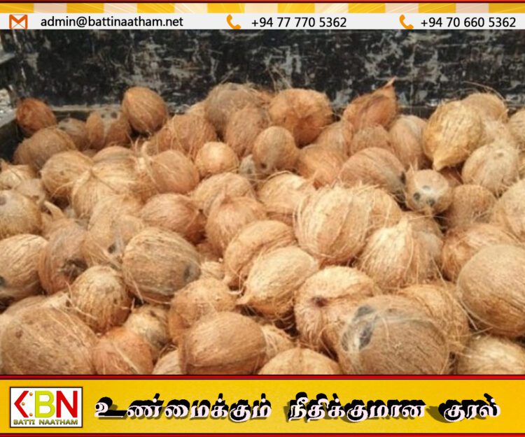 தேங்காய் விலையை கட்டுப்படுத்த சதோச மூலம் புதிய திட்டம்