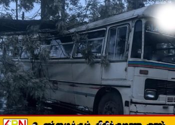 ஆடைத்தொழிற்சாலை ஊழியர்களை ஏற்றிச் செல்வதற்காக நிறுத்தி வைக்கப்பட்டிருந்த பஸ் மீது முறிந்து விழுந்த பாரிய மரம்