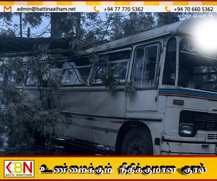 ஆடைத்தொழிற்சாலை ஊழியர்களை ஏற்றிச் செல்வதற்காக நிறுத்தி வைக்கப்பட்டிருந்த பஸ் மீது முறிந்து விழுந்த பாரிய மரம்