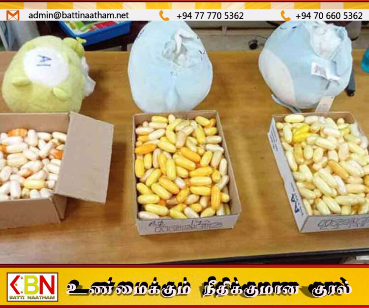 கட்டுநாயக்கவில்10 கிலோகிராம் கொக்கைன் போதைப்பொருளுடன் வெளிநாட்டுப் பிரஜை கைது