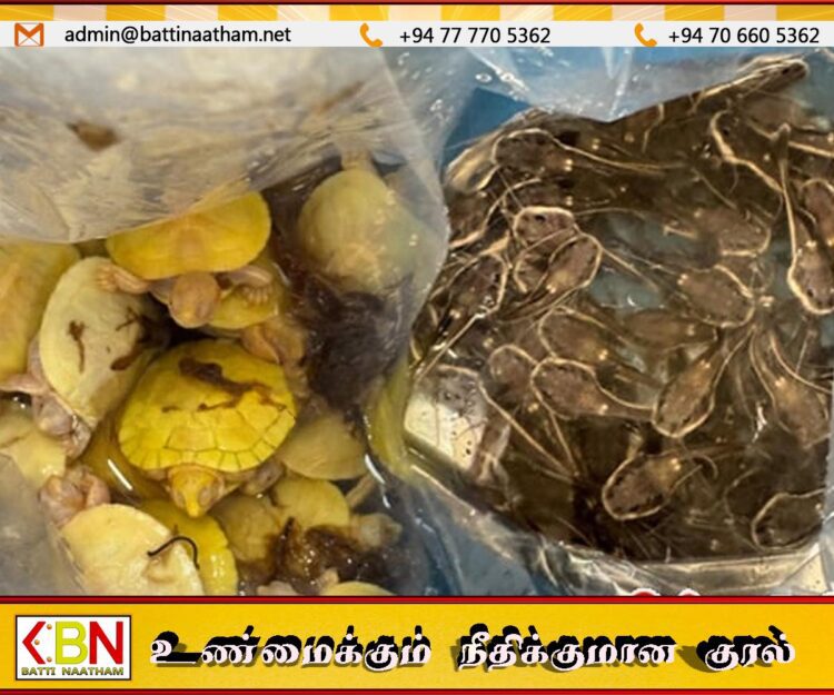 இலங்கைக்கு பாதிப்பை ஏற்படுத்தும் வகையில் உயிரினங்களை இறக்குமதி செய்ய முயன்ற மூவர் கைது