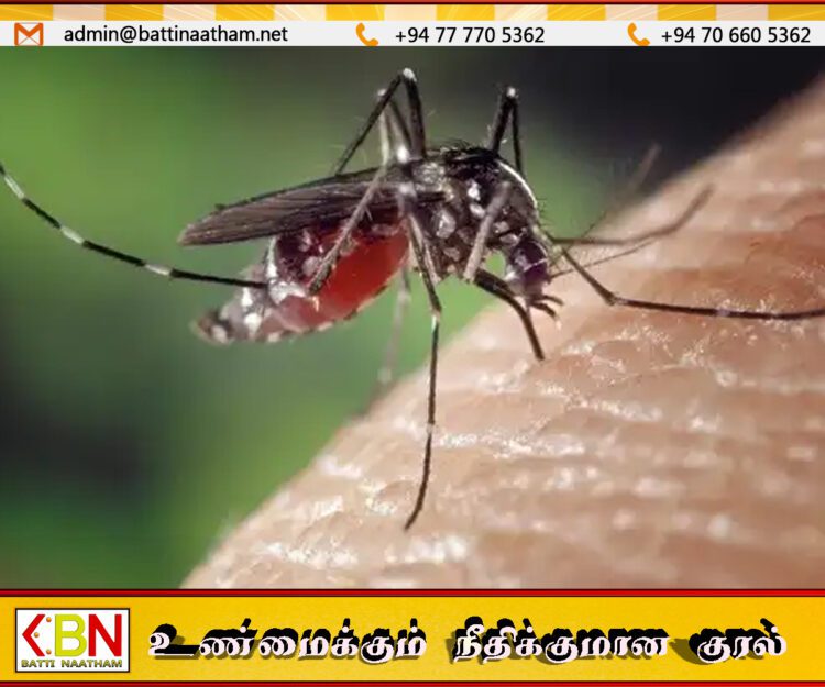 நுளம்பு முட்டைகளுடன் காணப்பட்ட 1,470 இடங்களுக்கு எதிராக எடுக்கப்பட்ட சட்ட நடவடிக்கைகள்