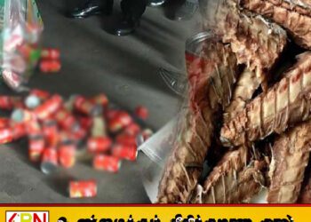 நிறுவனமொன்றின் பெயரில் போலியாக டின்மீன் தயாரித்த நிறுவனம் சுற்றிவளைப்பு