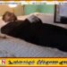 நிர்வாணமாக்கப்பட்டு பகிடிவதைக்கு உள்ளான பல்கலை மாணவன் தற்கொலை