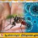 நாட்டில் அம்மை டெங்கு மற்றும் இன்ஃப்ளுவன்ஸா நோயாளர்களின் எண்ணிக்கை அதிகரிப்பு