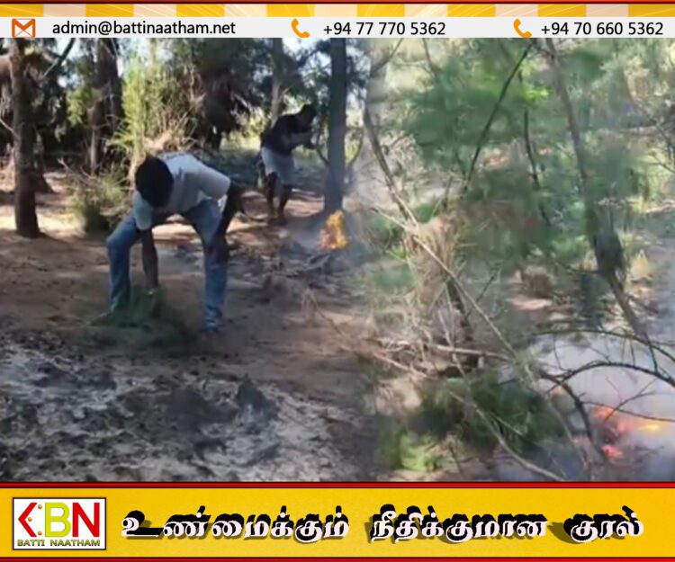 மட்டு குருக்கள்மடம் கிராமத்தில் கடற்கரையில் ஏற்பட்ட திடீர் தீ பரவல்