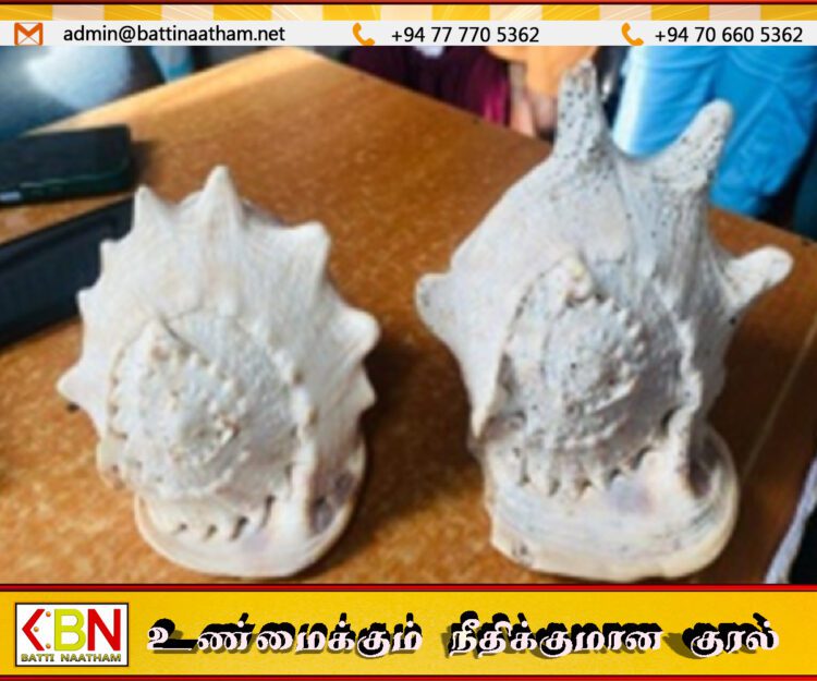 மில்லியன் பெறுமதியான வலம்புரி சங்குகளுடன் நால்வர் கைது