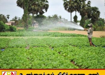 பயிர்ச் செய்கைக்கான பசளைகளின் விலை அதிகரித்துள்ளமையினால் விவசாயிகள் பாதிப்பு
