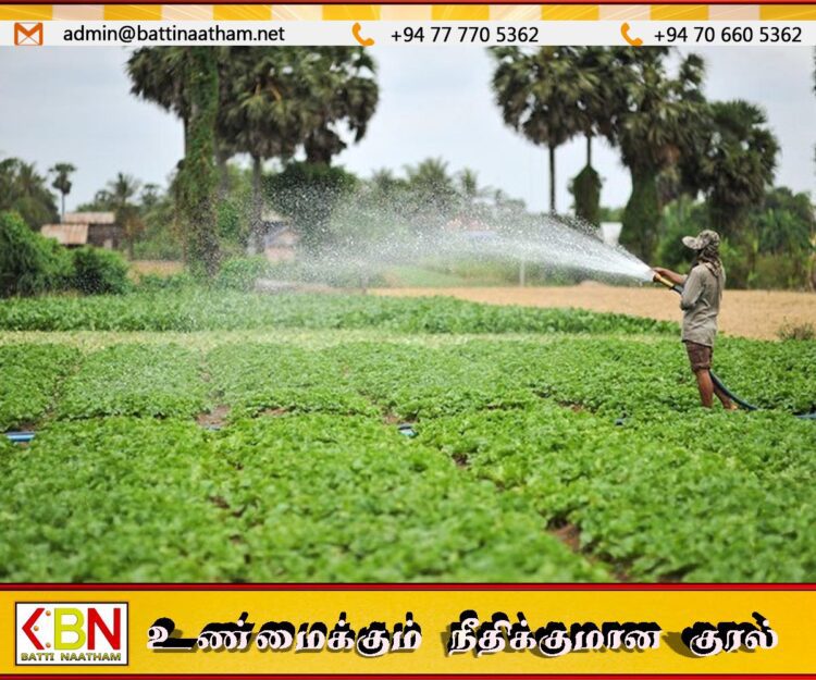 பயிர்ச் செய்கைக்கான பசளைகளின் விலை அதிகரித்துள்ளமையினால் விவசாயிகள் பாதிப்பு