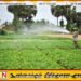 பயிர்ச் செய்கைக்கான பசளைகளின் விலை அதிகரித்துள்ளமையினால் விவசாயிகள் பாதிப்பு