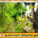 கிளிநொச்சி நீர்ப்பாசன வாய்க்கால் ஒன்றிலிருந்து ஆணொருவரின் சடலம் மீட்பு
