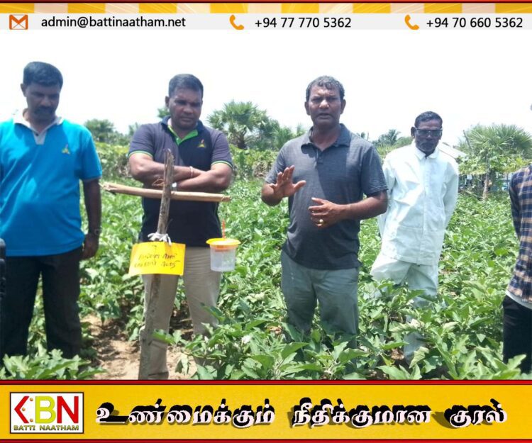 வாகரை மாங்கேணி பகுதியில் பயிர் நோய் பீடை கட்டுப்பாடு தொடர்பான விழிப்பூட்டல் நிகழ்வு