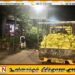 களுவாஞ்சிகுடியில் வாக்காளர்களுக்கு வழங்க கொண்டுசெல்லப்பட்ட அரிசி பறிமுதல்