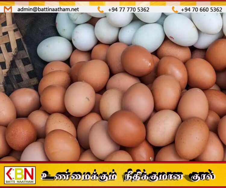 சந்தையில் முட்டையின் விலையில் வீழ்ச்சி