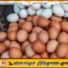 சந்தையில் முட்டையின் விலையில் வீழ்ச்சி