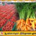மட்டக்களப்பில் தக்காளி கிலோ -1300/= கரட் கிலோ-1000/=