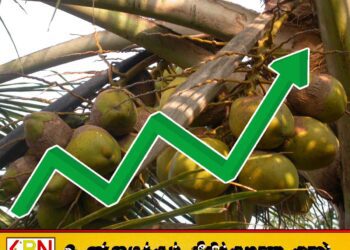 எதிர்வரும் மாதங்களில் தேங்காய் விலை மேலும் உயர வாய்ப்பு; தென்னை வேளாண்மை சபை தலைவர்