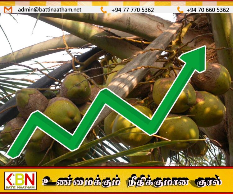 எதிர்வரும் மாதங்களில் தேங்காய் விலை மேலும் உயர வாய்ப்பு; தென்னை வேளாண்மை சபை தலைவர்