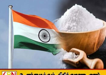 இந்தியாவிலிருந்து இலங்கைக்கு உப்பு இறக்குமதி செய்ய நடவடிக்கை