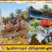 மட்டு கிரான்குளத்தில் பழங்களை ஏற்றி சென்ற வாகனம் விபத்து