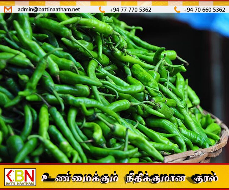 பச்சை மிளகாய் ஒரு கிலோ 1000 ரூபாவை தொட்டது