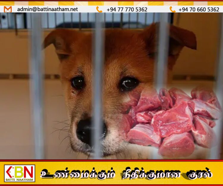 தென்கொரியாவில் நாய் இறைச்சி விற்பனை முழுமையாக தடை