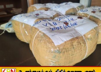 வவுனியாவிலுள்ள வீட்டுக்குள் மறைக்கப்பட்ட நிலையில் 10 கிலோ கஞ்சா மீட்பு; சந்தேக நபர் கைது