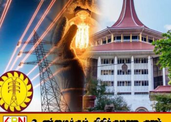 மின்சார திருத்த சட்டமூலத்தின் பல பிரிவுகள் அரசியலமைப்புக்கு முரணானது; உயர் நீதிமன்றம்