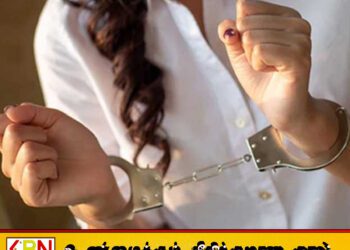 பண மோசடியில் ஈடுபட்டதாக கூறப்படும் சீனப் பெண் கைது