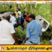 பாடசாலை மாணவர்களை ஏற்றிச் சென்ற வேன் விபத்து; மூவர் வைத்தியசாலையில்